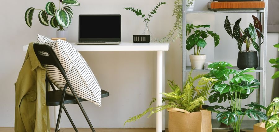 Read more about the article Comprehending the Role of Artificial Plants For Home Decor